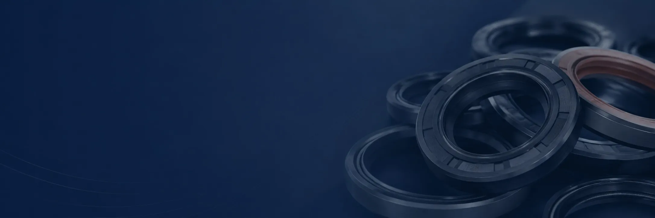 Oil Seals